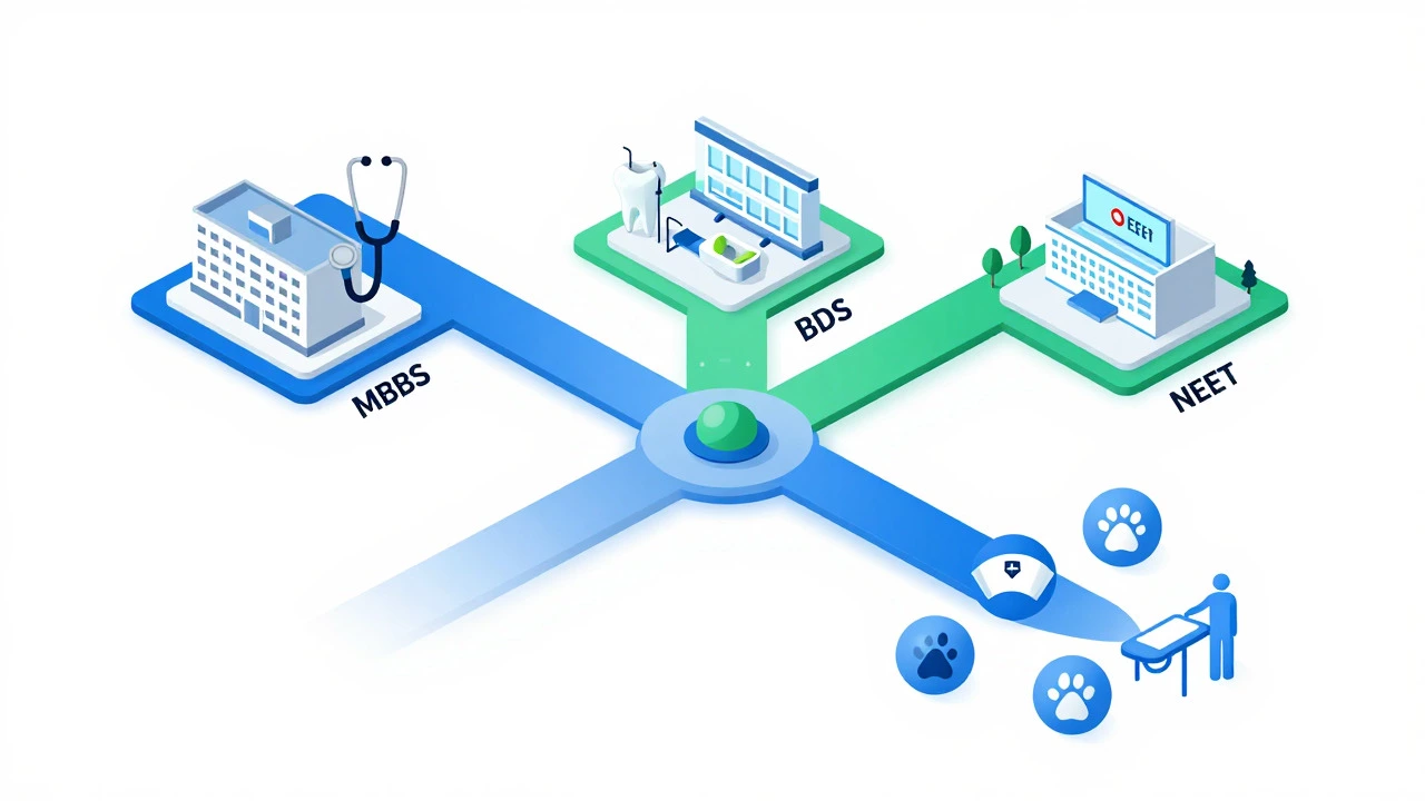 Illustration showing career paths branching from NEET: MBBS, BDS, and Allied Health